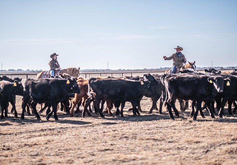 Creating Nolan Ryan's Guaranteed Tender Beef - Progressive Cattle