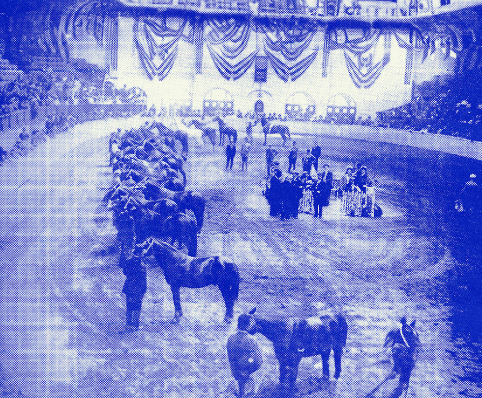 Fort Worth Stock Show and Rodeo: The History Is Legendary - Fort Worth Inc.